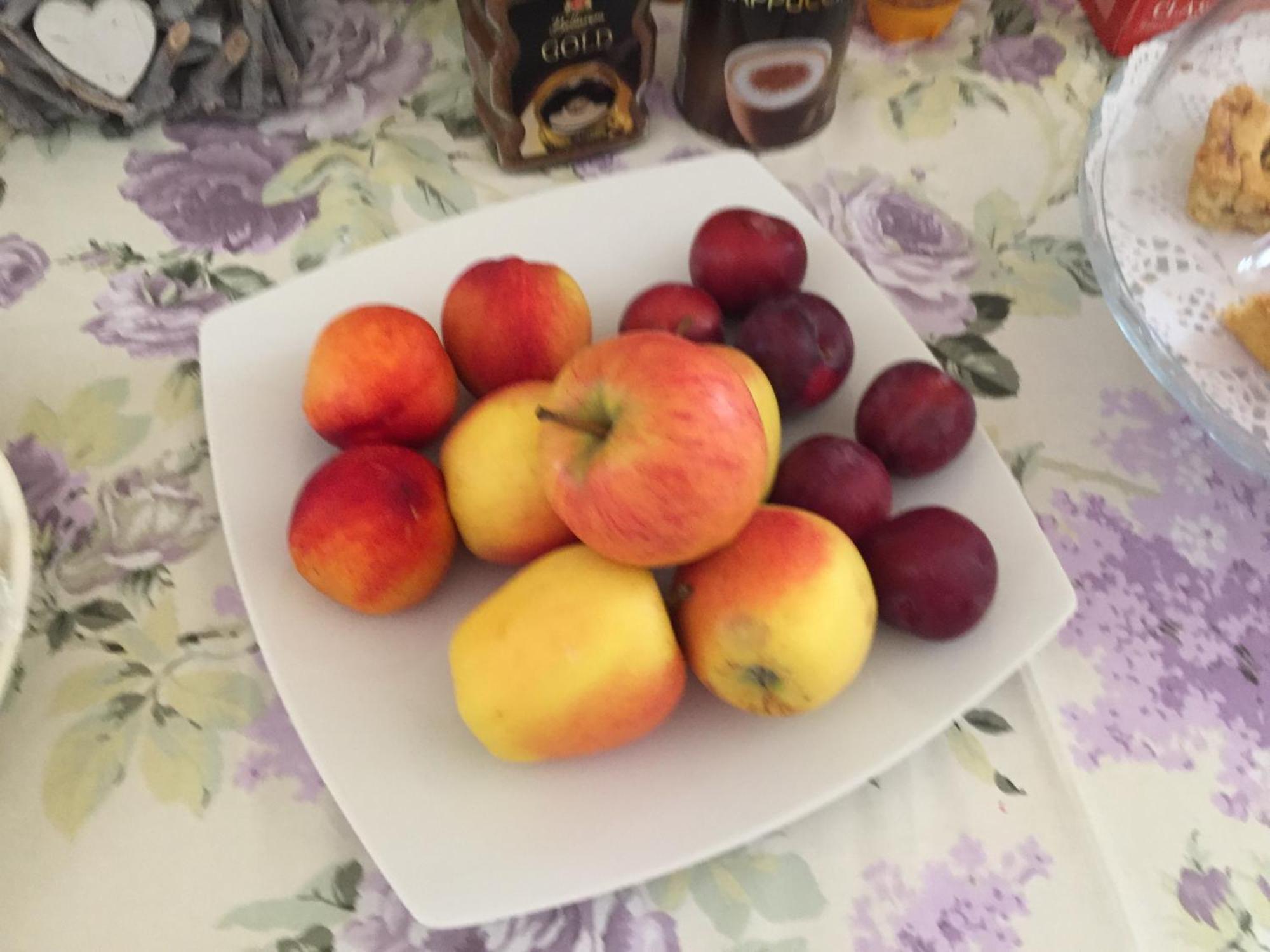 B&B Happiness In The Country Brescello Eksteriør bilde