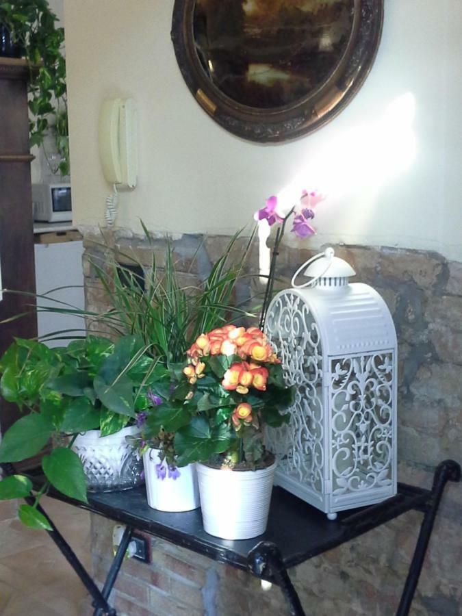 B&B Happiness In The Country Brescello Eksteriør bilde